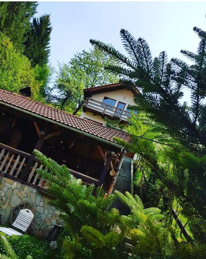 Cabana Vanatorilor Poiana Marului  Exterior photo
